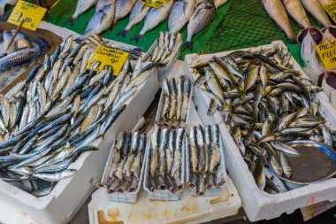 Deniz balık Market sayaçta