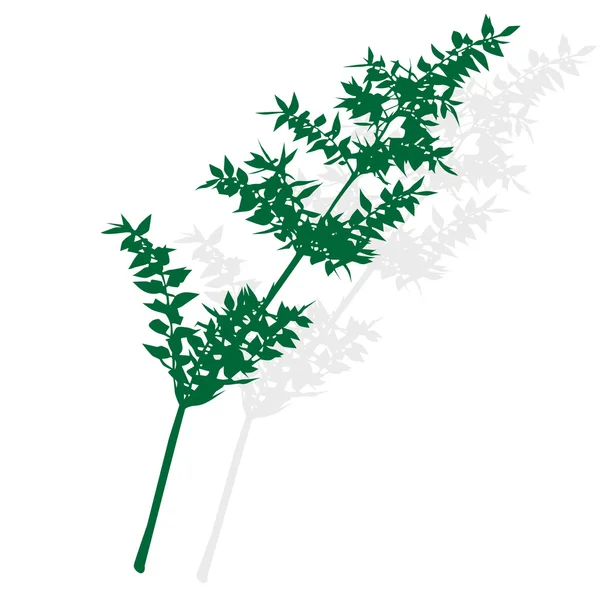 녹색 식물 실루엣 — 스톡 사진