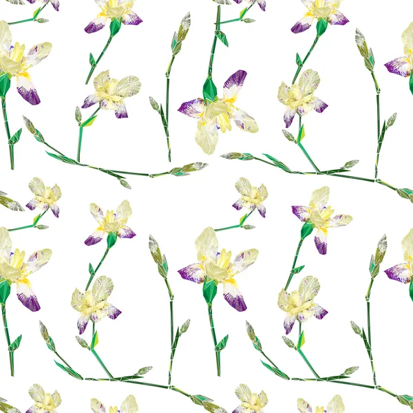 Iris veldboeket patroon — Stockfoto