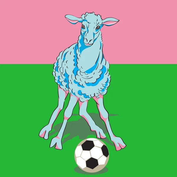 Sheep playing football — Stock Photo, Image