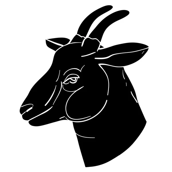 Avatar de cabra — Fotografia de Stock