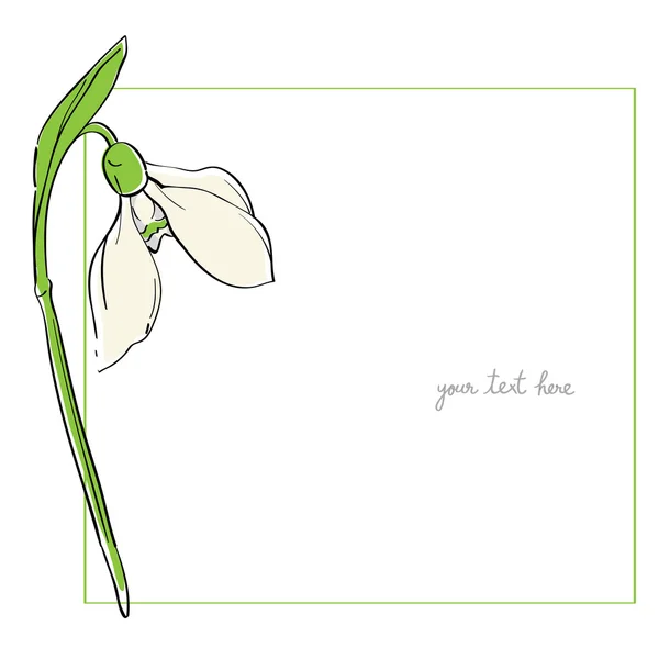 Snowdrop minimal card — Stock Photo, Image