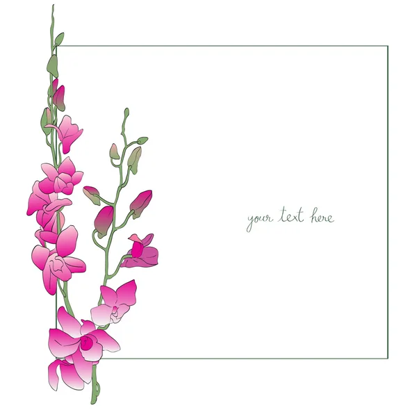 Long orchids minimal card — Stock Photo, Image