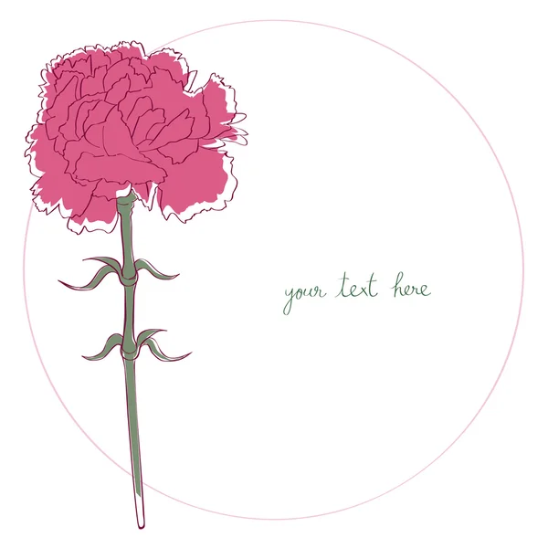 Carnation simple card — Stock Photo, Image