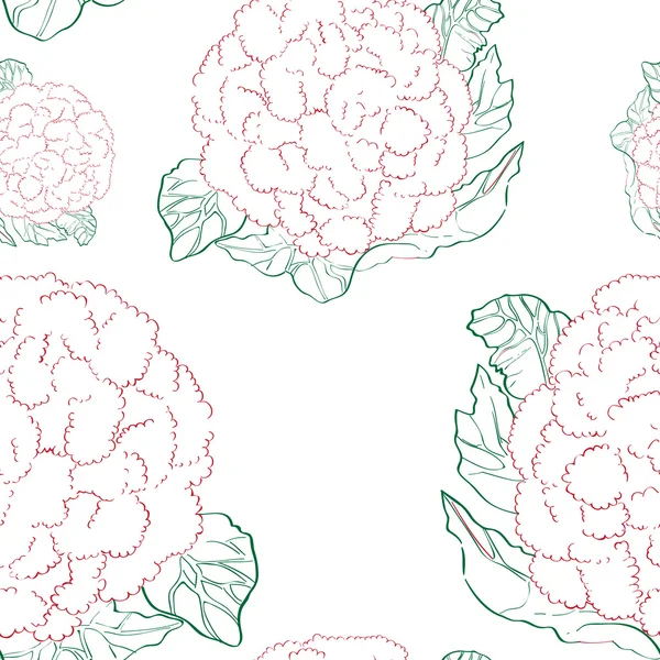 Cauliflower contour pattern — Stock Photo, Image