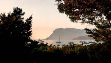 beach Capo Coda Cavallo with yachts moored in the sea