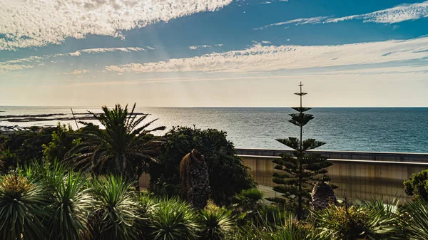 Vista bonita no parque Genoves em Espanha cádiz andaluzia — Fotografia de Stock