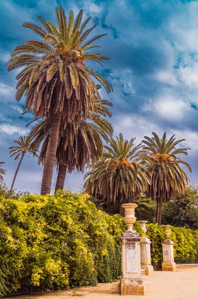 Jardines de Murillo in Seville Summer Park сцена — стоковое фото