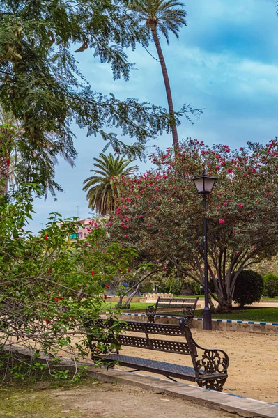 Jardines de Murillo in Seville Summer Park сцена — стоковое фото
