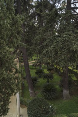 Royal Alcazar 'ın geniş bahçeleri