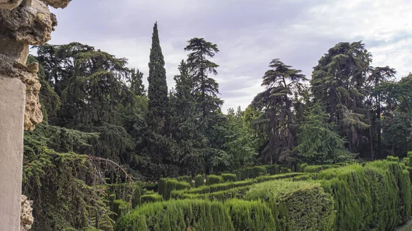 Огромные сады Королевского Алькасара — стоковое фото