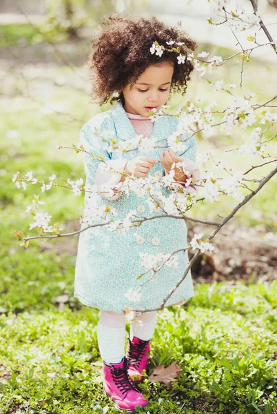 Retrato Livre Menina Bonito Cercado Por Árvores Florescentes Primavera Fotografias De Stock Royalty-Free