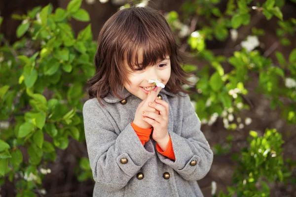 Tempo di primavera — Foto Stock