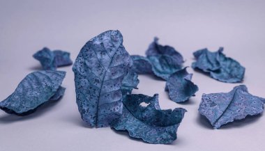 Mavi ışıkta solmuş güzel yapraklar. Minimalizm sonbahar tarzı konsept. Tasarım için arkaplan deseni.