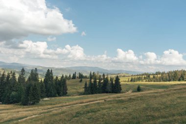 Carpatian yaz manzarası. Mavi arkaplanda güzel dağlar.