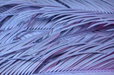 Güzel palmiye yaprağını neon ışıkta kapat. Minimalizm retro tarzı konsept. Tasarım için arkaplan dokusu. 