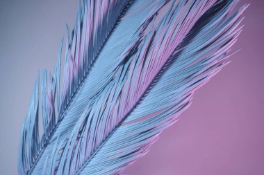 Güzel palmiye yaprağını neon ışıkta kapat. Minimalizm retro tarzı konsept. Tasarım için arkaplan dokusu. 