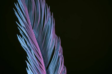 Güzel soluk palmiye yaprağı siyah bir ışıkta. Minimalizm retro tarzı konsept. Tasarım için arkaplan deseni. 