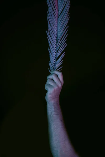 Mano Sosteniendo Hoja Palma Luz Neón Sobre Negro Concepto Minimalismo —  Fotos de Stock