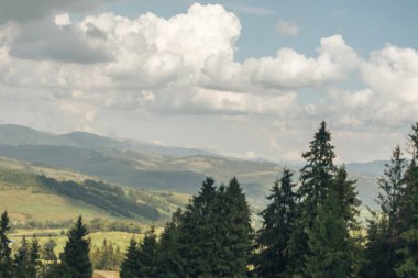 Carpatian yaz manzarası. Mavi arkaplanda güzel dağlar.