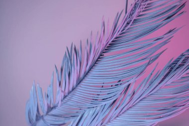 Güzel palmiye yaprağını neon ışıkta kapat. Minimalizm retro tarzı konsept. Tasarım için arkaplan dokusu. 