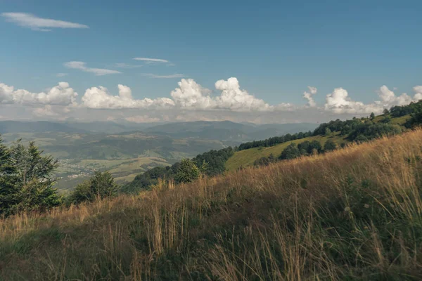 Carpatian yaz manzarası. Mavi arkaplanda güzel dağlar.
