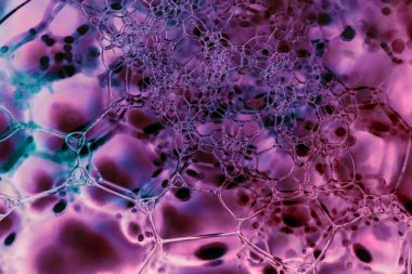 Güzel, soyut sabun köpüklerini kapatın. Tasarım için arkaplan modeli. Makro fotoğrafçılık görünümü.