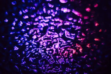 Renk ışığı olan güzel soyut kristal, tasarım için arkaplan deseni.