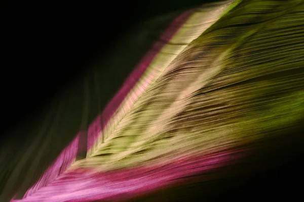 Close Belle Pagine Libri Nella Luce Multicolore Una Notte Modello — Foto Stock