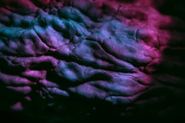 Çok renkli ışıkta çok güzel ceviz kabuğu. Tasarım için arka plan dokusu. Makro Fotoğraf Görünümü.