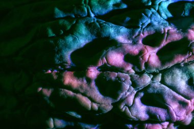 Çok renkli ışıkta çok güzel ceviz kabuğu. Tasarım için arka plan dokusu. Makro Fotoğraf Görünümü.