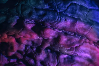 Yakın plan güzel ceviz kabuğu mor ışıkta aşırı. Tasarım için arka plan dokusu. Makro Fotoğraf Görünümü.