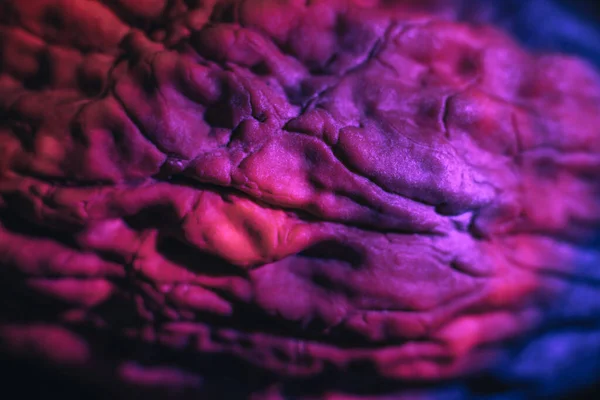 Крупный План Красивый Грецкий Орех Крайности Фиолетовый Свет Фон Текстуры — стоковое фото