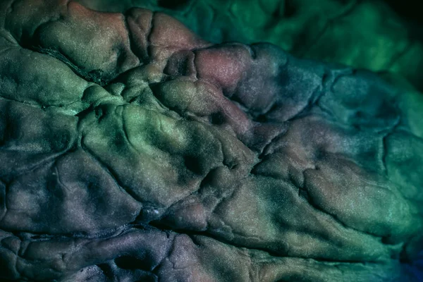 Крупный План Красивый Орех Оболочки Экстремальный Многоцветном Свете Фон Текстуры — стоковое фото