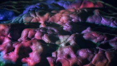 Yakın plan ceviz kabuğu aşırı derecede çok renkli. Tasarım için arka plan dokusu. Makro Fotoğraf Görünümü.