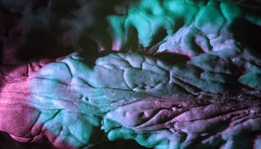 Yakın plan ceviz kabuğu aşırı derecede çok renkli. Tasarım için arka plan dokusu. Makro Fotoğraf Görünümü.