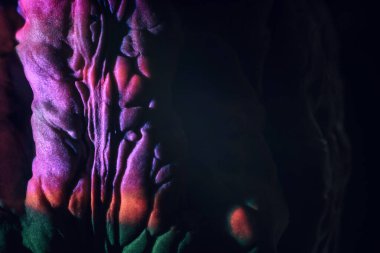 Yakın plan ceviz kabuğu aşırı derecede çok renkli. Tasarım için arka plan dokusu. Makro Fotoğraf Görünümü.