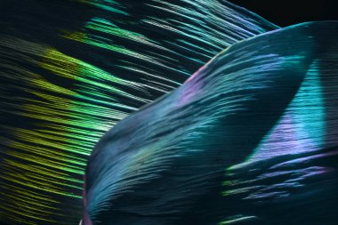 Güzel soyut yaprağı renkli neon ışıkta kapat. Minimalizm modern tarz konsepti. Tasarım için karanlık arkaplan deseni. Makro fotoğrafçılık görünümü.