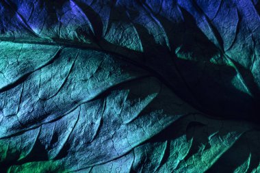 Güzel soyut yaprak dokusunu çok renkli neon ışıkla kapat. Minimalizm retro tarzı konsept. Tasarım için arkaplan modeli. Makro fotoğrafçılık görünümü.