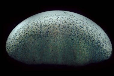 Sabun köpüğü topu soyut arkaplan dokusu yarım daire. Uzay Modeli ya da Evren Gezegeni için güzel arkaplan deseni