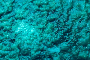 Tasarım için soyut suluboya yeşil arkaplan deseni. Arkaplan, pankart için sıvı dokusu.