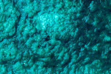 Tasarım için soyut suluboya yeşil arkaplan deseni. Arkaplan, pankart için sıvı dokusu.