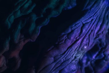 Çok renkli ışıkta çok güzel ceviz kabuğu. Tasarım için arka plan dokusu. Makro Fotoğraf Görünümü.