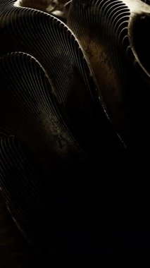 Mavi ve bej tonlarda dalgaların aktığı dinamik soyut arkaplan desenler akışkan