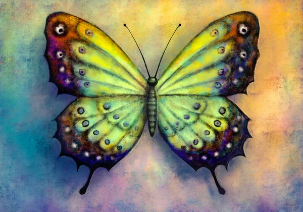 Peinture Papillon Lumineux Sur Fond Grunge — Photo