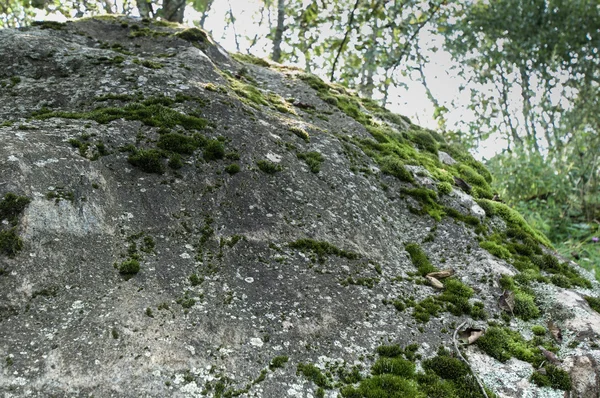 Textura de pedra musgosa — Fotografia de Stock