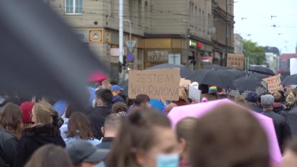 Wroclaw, Poland, 23 october 2020 - Womens Strike in Wroclaw. Crowd with black umbrellas - protest symbol. Inscription in Polish - I am pissed off, politicians, hands off my pussy — Stok video