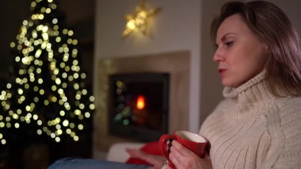 Boldog új évet! Gyönyörű nő egy bögre teával a kezében, kutyaöleléssel, egy kandalló és egy karácsonyfa hátterében. — Stock videók