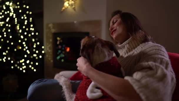Mooie vrouw met een mok thee in de hand en met een hondenknuffel, tegen de achtergrond van een open haard en een kerstboom. Gelukkig Nieuwjaar — Stockvideo