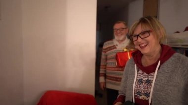 Genç bir kadın misafirleri hediyelerle karşılar. Yaşlı bir çift kızlarını ziyarete geldi. Mutlu noeller. Mutlu bir aile. Evde bir şömine yanıyor ve Noel ağacı süslenmiş.